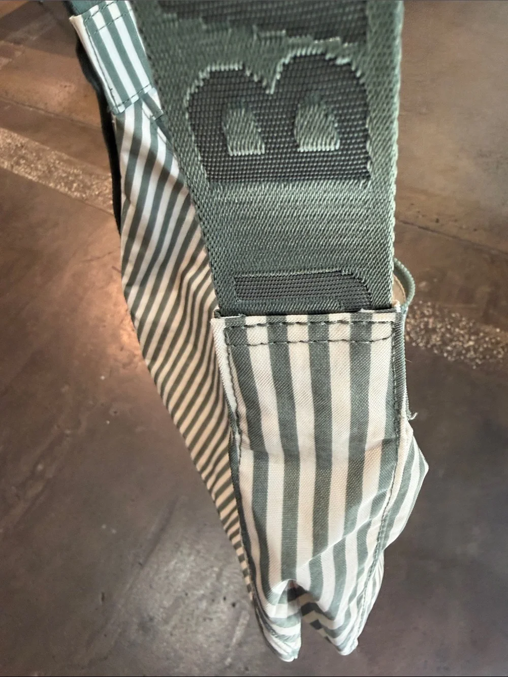 Baggu Medium Nylon Crescent Bag in sage stripe